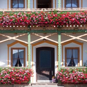 Doniczki balkonowe – przywitaj wiosnę na swoim balkonie