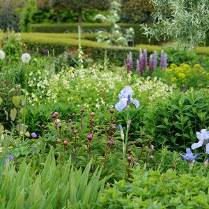 Jak zaaranżować ogród w stylu eko?