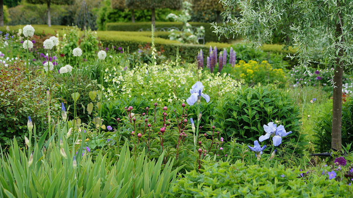Jak zaaranżować ogród w stylu eko?